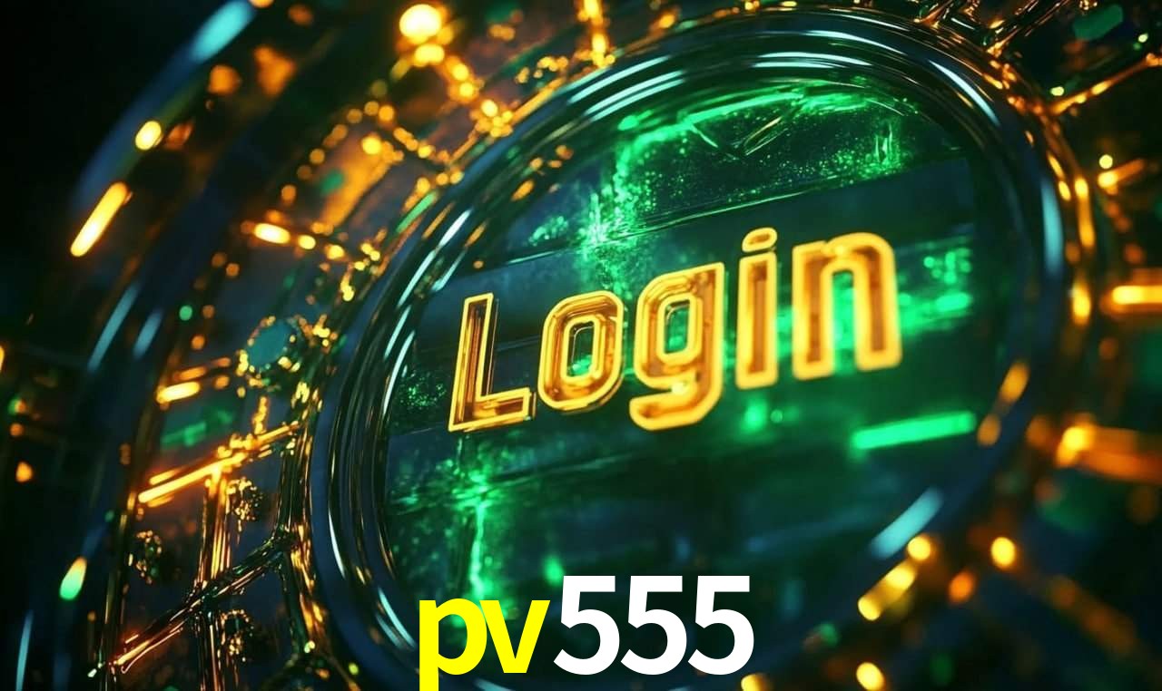 Premium Interface pv555
