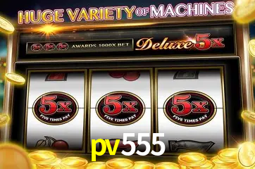 VIP Casino pv555
