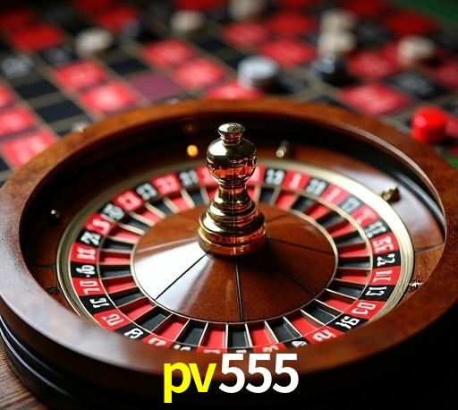 Security Systems pv555